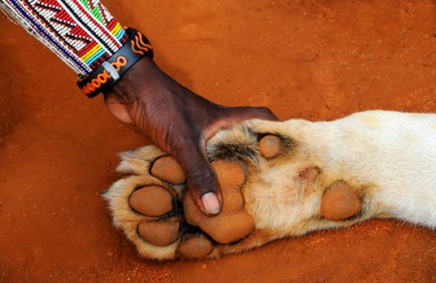 photo: Philip Briggs