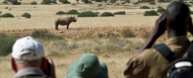 One Black Rhino May Help Save All Of The Rest