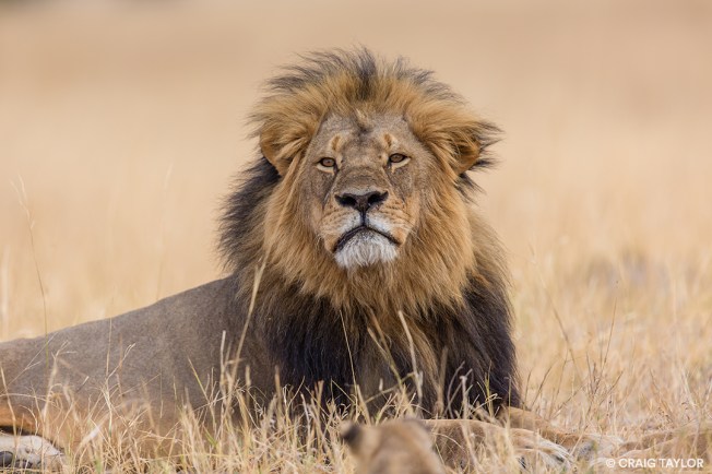 ZWE_BWA_120928_1701_04284_F-Blog